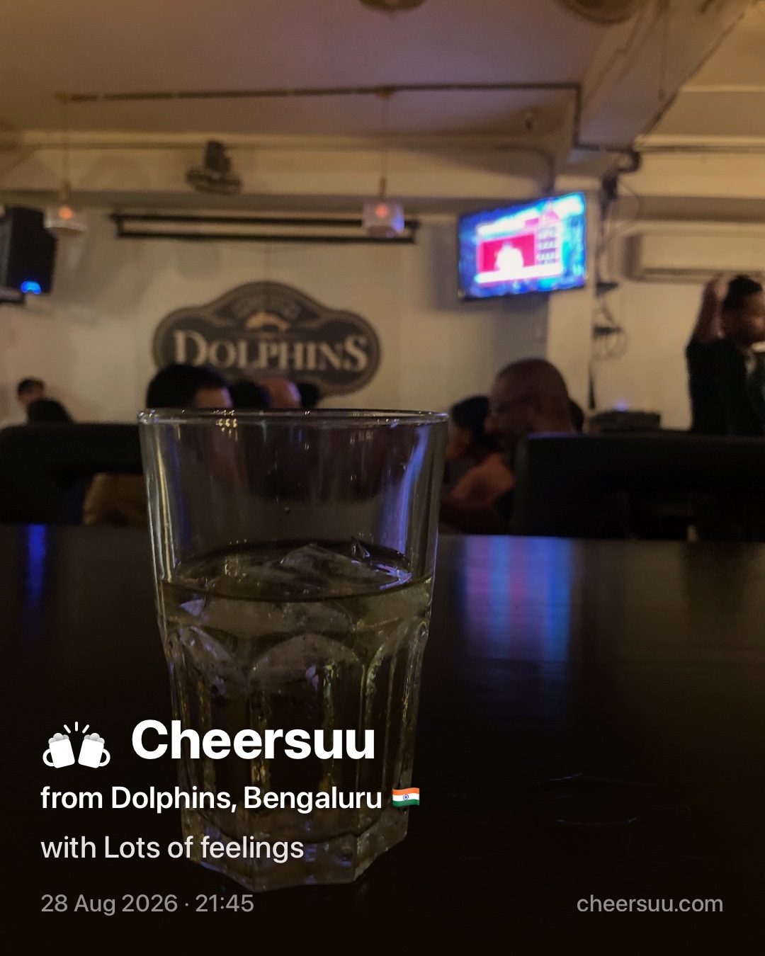 A Cheersuu from Dolphins, Bengaluru