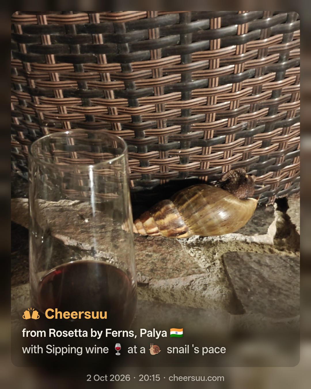 A Cheersuu from Rosetta by Ferns, Palya